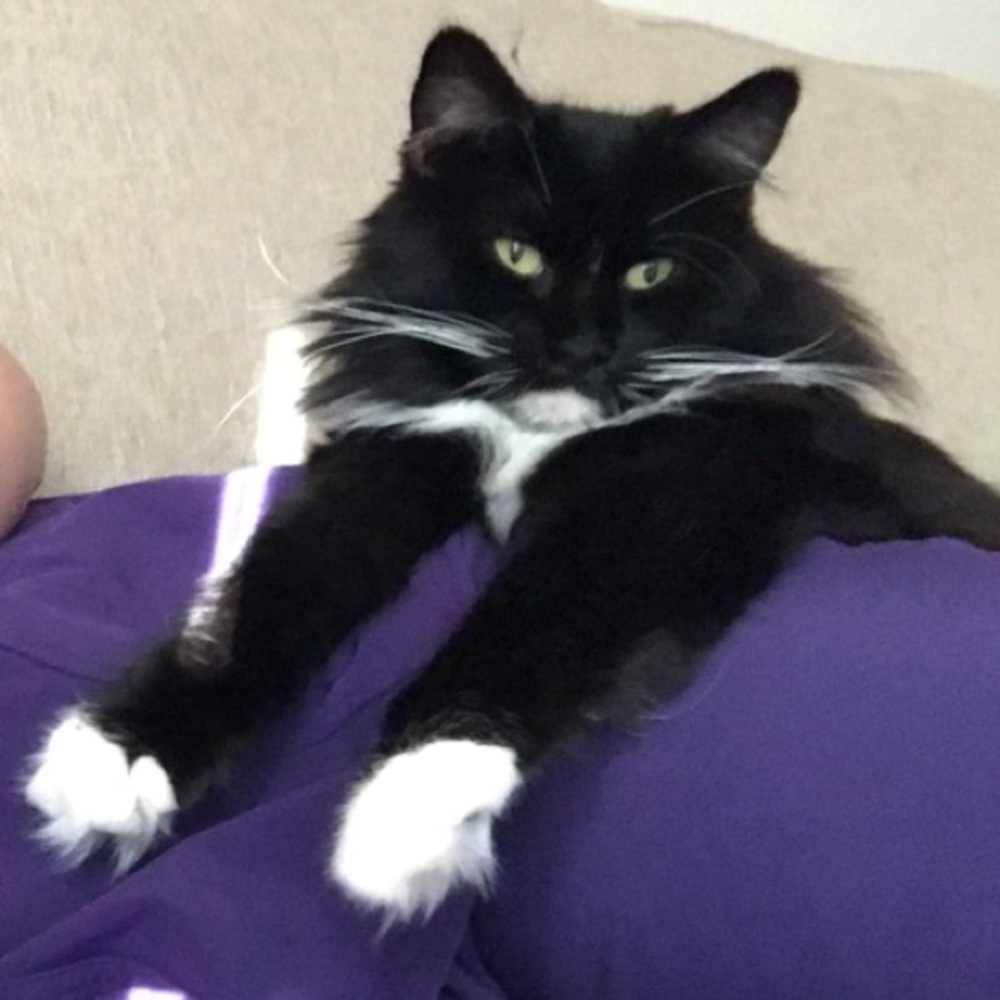 Meet your Posher, Marie